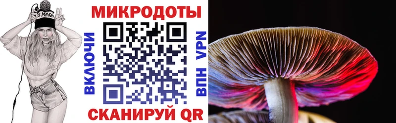 Галлюциногенные грибы Magic Shrooms  Стрежевой 
